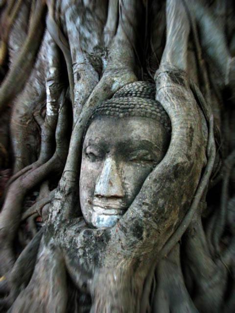 Somjai Place Ayutthaya Экстерьер фото